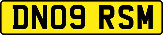 DN09RSM