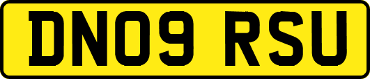DN09RSU