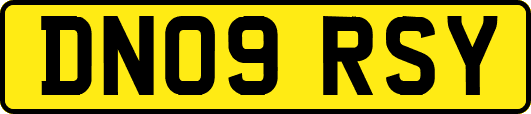 DN09RSY
