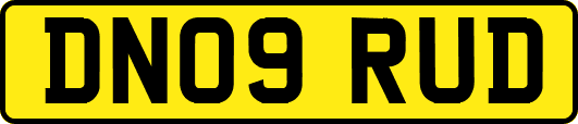 DN09RUD