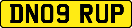 DN09RUP