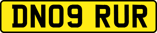 DN09RUR