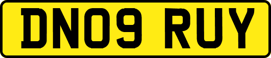 DN09RUY