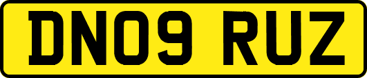 DN09RUZ
