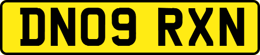 DN09RXN
