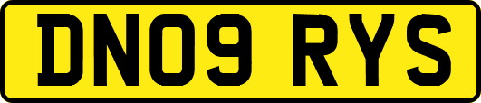 DN09RYS