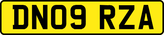 DN09RZA