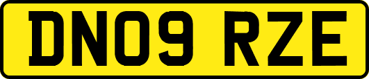 DN09RZE