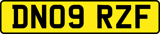 DN09RZF