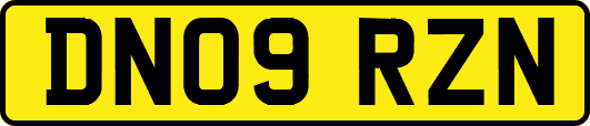 DN09RZN