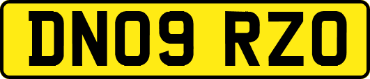DN09RZO