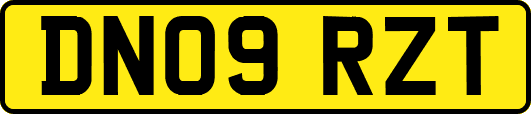DN09RZT