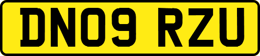 DN09RZU