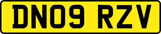 DN09RZV
