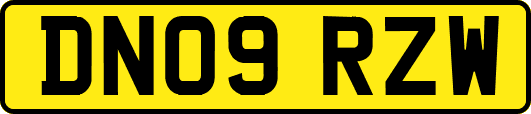 DN09RZW