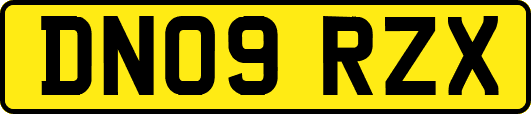 DN09RZX