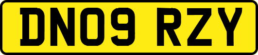 DN09RZY