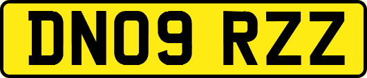 DN09RZZ