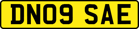 DN09SAE