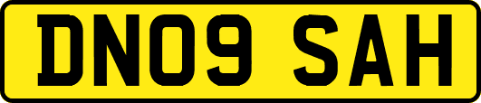 DN09SAH