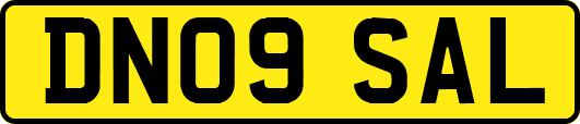 DN09SAL