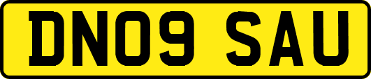 DN09SAU