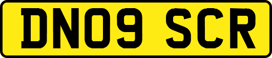 DN09SCR