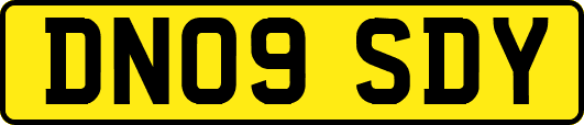 DN09SDY