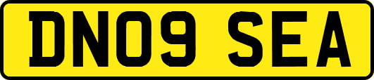 DN09SEA