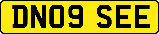 DN09SEE