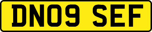 DN09SEF