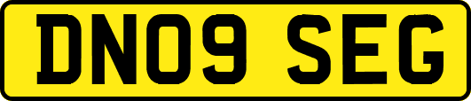 DN09SEG