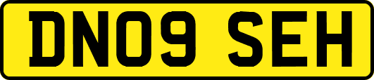 DN09SEH
