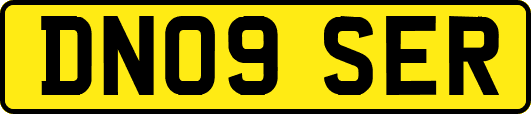 DN09SER