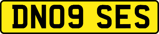 DN09SES