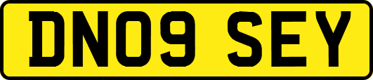 DN09SEY
