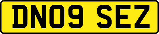 DN09SEZ