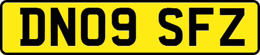 DN09SFZ