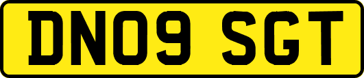 DN09SGT
