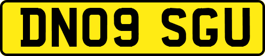 DN09SGU