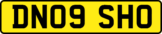 DN09SHO