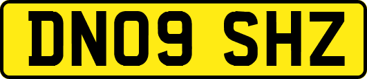 DN09SHZ