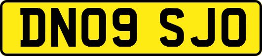DN09SJO