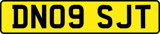 DN09SJT