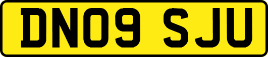 DN09SJU