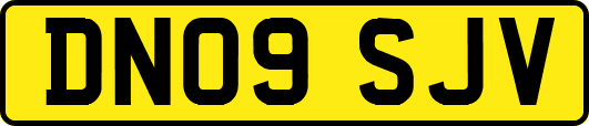 DN09SJV