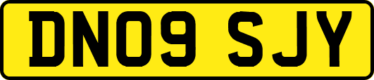 DN09SJY