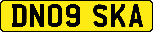 DN09SKA
