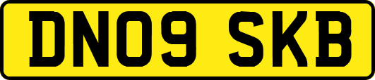DN09SKB