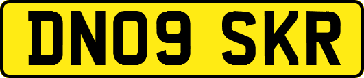 DN09SKR